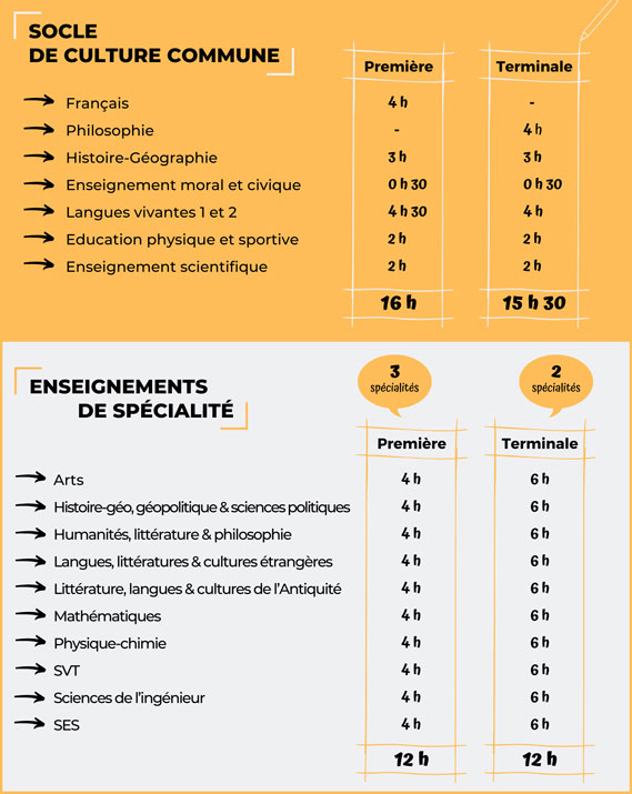 Choix Des Spécialités, Bac Et Orientation | Le Site SES De P. Savoye